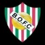 Bola de Ouro F.C.